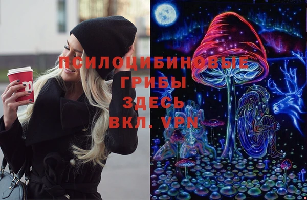 apvp Абаза