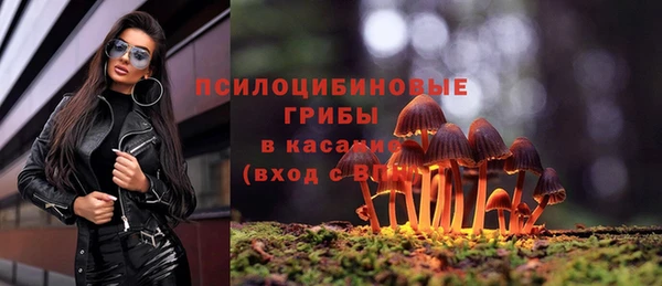 трава Абинск