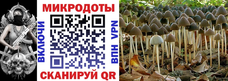 Галлюциногенные грибы ЛСД  Смоленск 